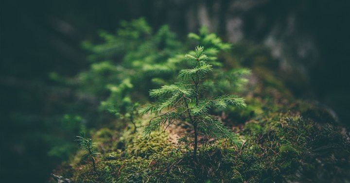 Earth Day